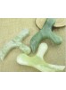 GUA SHA ΓΙΑ ΤΟ ΠΕΛΜΑ