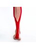 PHYSIO TAPE (5cm x 5m)